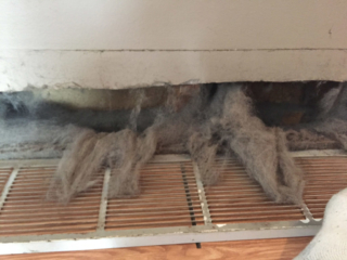 Reduce Allergens in a Saskatoon Home by Hiring Bridge City Duct Cleaning